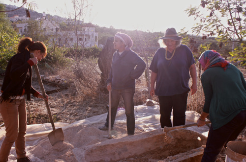 Palestinian farmers hungry for change | West Bank farmers are developing self-sustaining practi