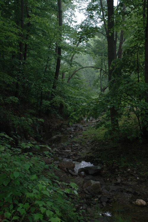 ancient-magics:Gloomy by DreAdfuLlyPiNk