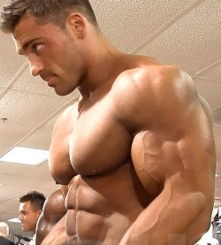 Sexy muscle guys