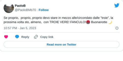 Se proprio, proprio, proprio devo stare in mezzo alle/circondato dalle "troie", la prossima volta sto, almeno, con TROIE VERE! FANCULO!🤬 Buonanotte 🌙  — PaoloB (@PaoloBMb70) January 5, 2023