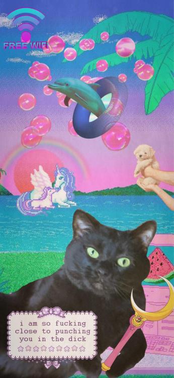 I’ve been making silly vaporwave edits of my friends’ pets lately, thought you guys migh