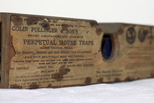 155-year old mouse trap claims its latest victim