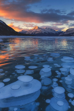 captvinvanity:    Layered iced Bubbles |Photographer | CV