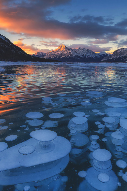 Porn Pics captvinvanity:    Layered iced Bubbles |Photographer