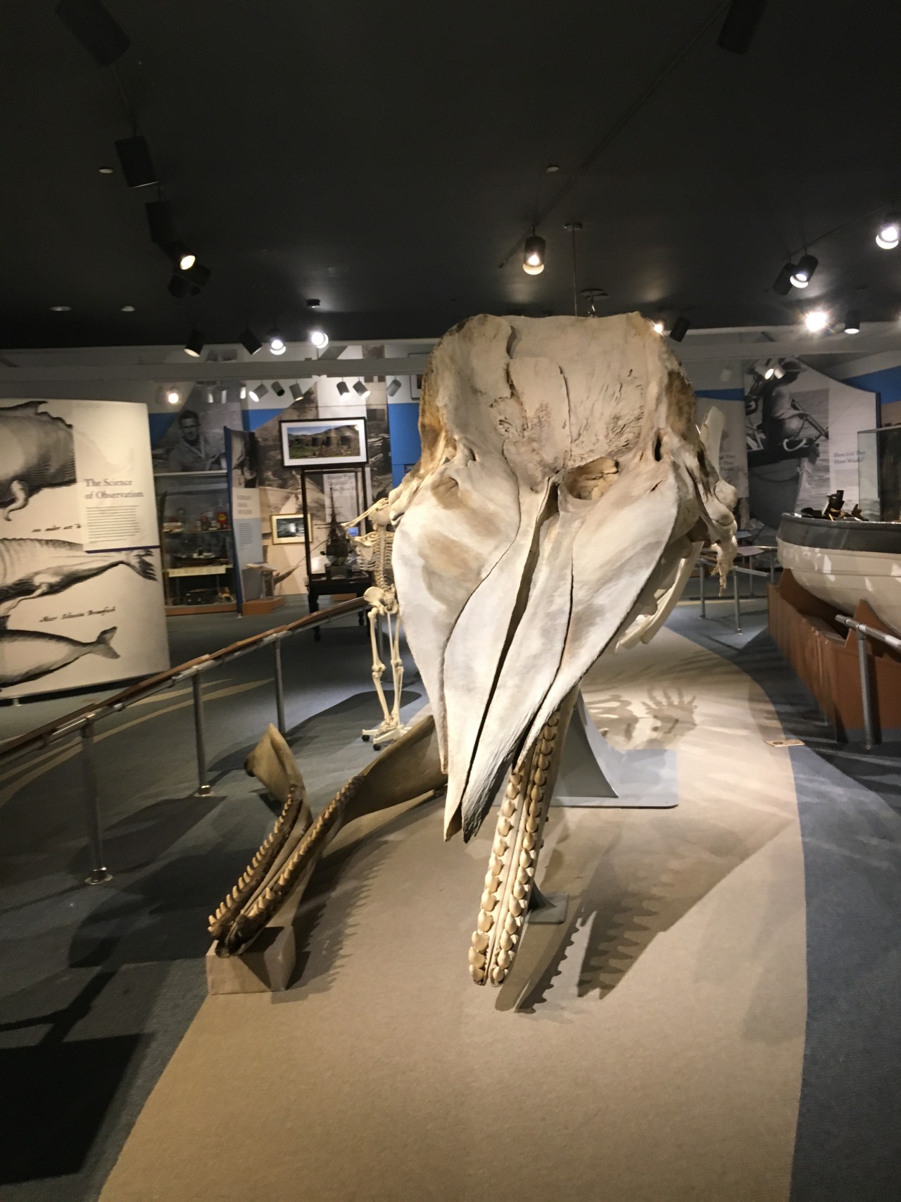Have Kiddos Will Travel — Road Trip to the New Bedford Whaling Museum picture