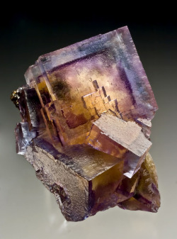 ifuckingloveminerals:  FluoriteMinerva #1 Mine, Hardin Co., Illinois, USA 