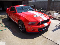 justthisguyoverhere:  2011 Shelby Gt500(: 