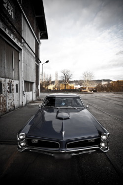 megadeluxe:  Pontiac GTO 
