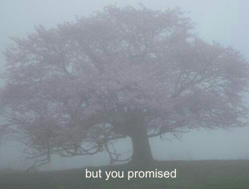 http://christinaowen5.tumblr.com/post/107431643041