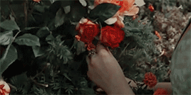 renaissaence:Wizarding World in Film: The Warlock’s Hairy Heart“The touch of her soft white arms, th