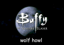virginiaboredwoolf:  TV Season Summaries - Buffy the Vampire Slayer  that’s it that’s the whole show.  