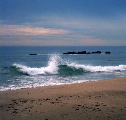 one of my favorite photos my sister took in Malibu.peep her...