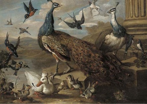 Jakob Bogdany (1660 - 1724)A peacock and a peahen, swallows, kingfishers, ducks, and ducklings by a 