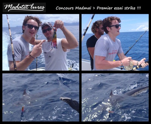 Marlin bleu pris sur Madmaï en Guadeloupe en tangonée latérale