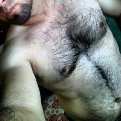  My two hairy men blogs: http://sambrcln.tumblr.com/archive