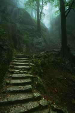 phoenix-warrior:  c1tylight5:  Stairway to the Castle | Karol Nienartowicz  *~A World of Pure Imagination~* 