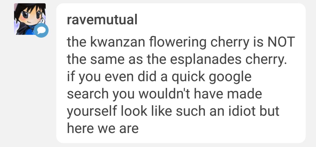 moonnations:  bluesargentsclues:  nuggetemily:  letshearitforthisclown: watching