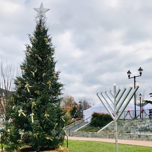 Holiday Tree and Municipal Menorah, Old Town Square, Fairfax City, 2018.As the Jewish celebration of