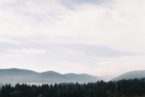 magicsystem:  (by irenkapatrzy)