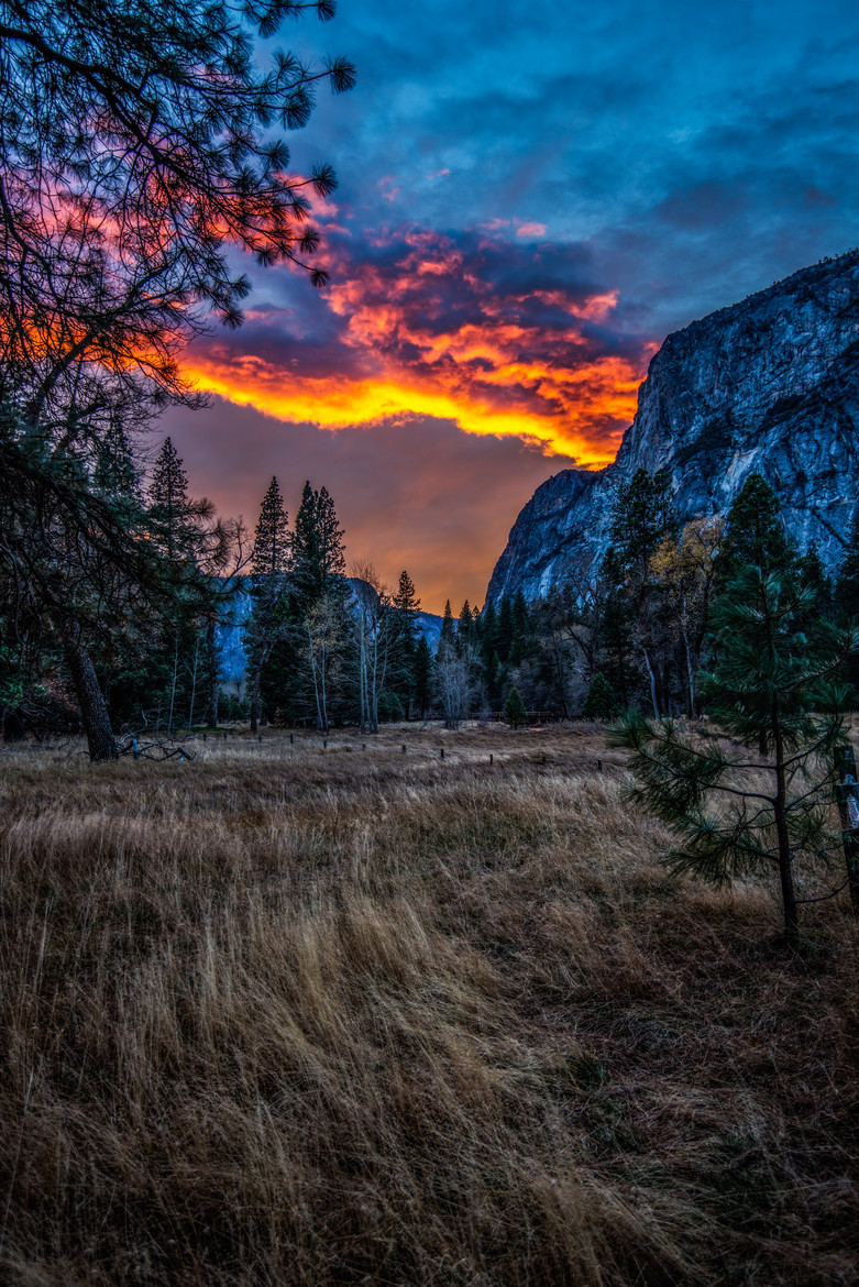 truesouthswagger:  old-hopes-and-boots:   by Mark Coté   $*cb*$