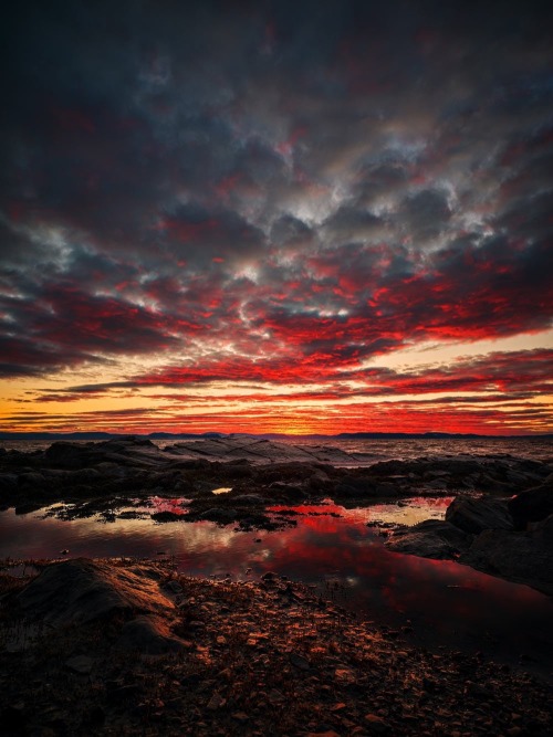 oneshotolive:  Epic sunset on the Saint-Laurent, Québec Canada [OC] [768x1024] [IG@PatricNadeau] 📷: PatricNadeau 