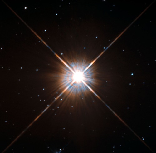 atomstargazer: Hubble’s New Shot of Proxima Centauri, our Nearest Neighbor Shining brightly in