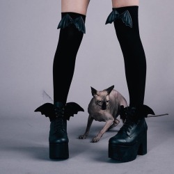 socialpsychopathblr:  Dollskill x Current Mood