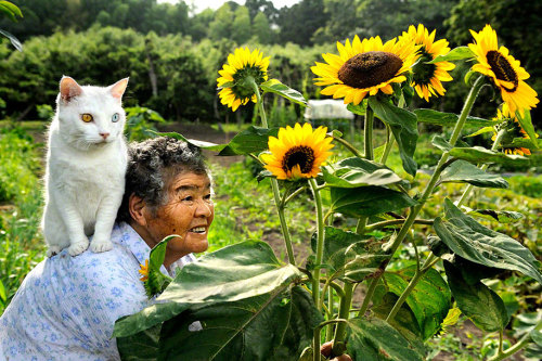 itsmicolmota:  heartwarming: “For the last 13 years Japanese photographer Miyoko Ihara has been taking pictures of her grandma, Misao, to commemorate her life. 9 years ago, 88-year-old Misao found a stray odd-eyed cat in her shed: she called it