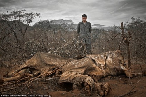  27 Images That Prove The End Is Near ….  (part 1)