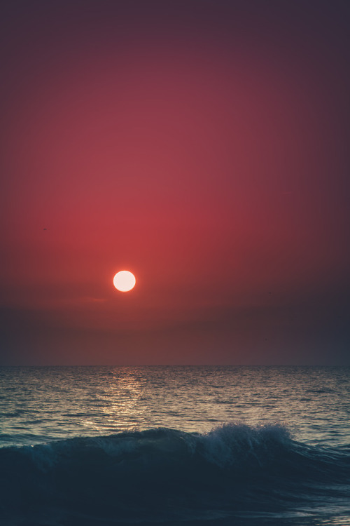 pedromgabriel:  - Ocean sunsets -by Pedro porn pictures