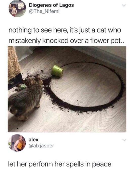 spiritspodcast:  cat-memes-only:    [ID: Tweet from user “Diogenes of Lagos”, which reads “nothing to see here, it’s just a cat who mistakenly knocked over a flower pot..”. Attached to the tweet is a photo of a brown tabby cat next to a spilled