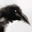 raven-tempest