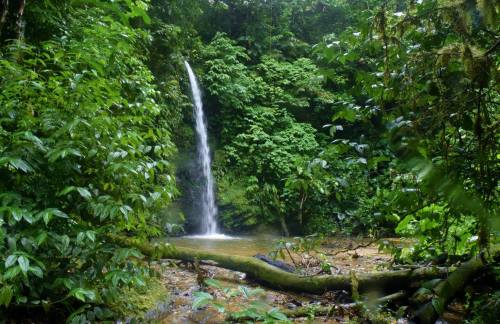 trailpace:Madamas Waterfall