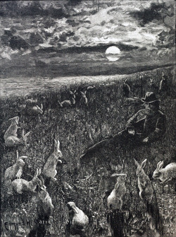 widenerlibrary:  It’s definitely high season for rabbit representations, so we thought we’d jump on that bandwagon with this work by the nineteenth century book illustrator and artist Edmund H. Garrett. This drawing is called In the Fairy Ring. It’s