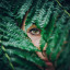 tiredhedgewitch