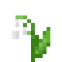 giphy-2