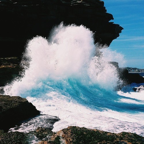 livingyoungwildfree: endless summer