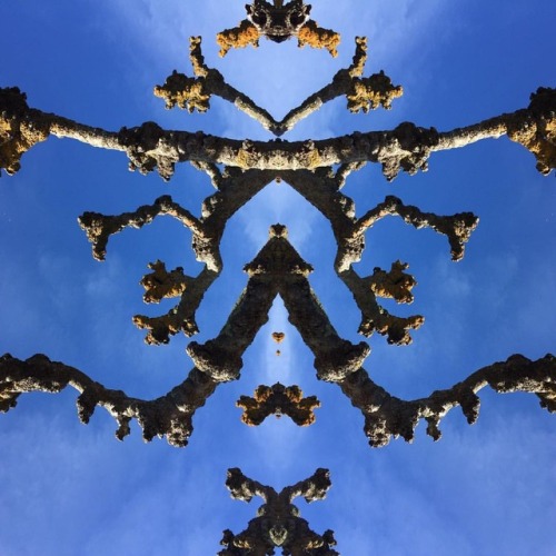 Nature Spirit #anthropomorphic #photocollage #godofnature #bluesky #natureiswatching #thisiswhatido #creator
