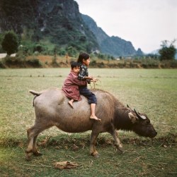 fotojournalismus:  Vietnam, Thomas Billhardt 