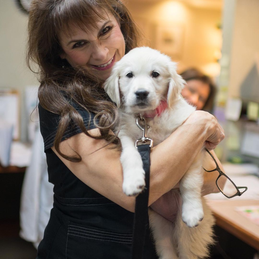 The obligatory puppy at the Dental 🦷 office (my Dentist) :) (at Thousand Oaks, California)
https://www.instagram.com/p/CdkNZGlOd-u/?igshid=NGJjMDIxMWI=