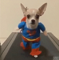 How I feel on the days that I actually make it to the gym