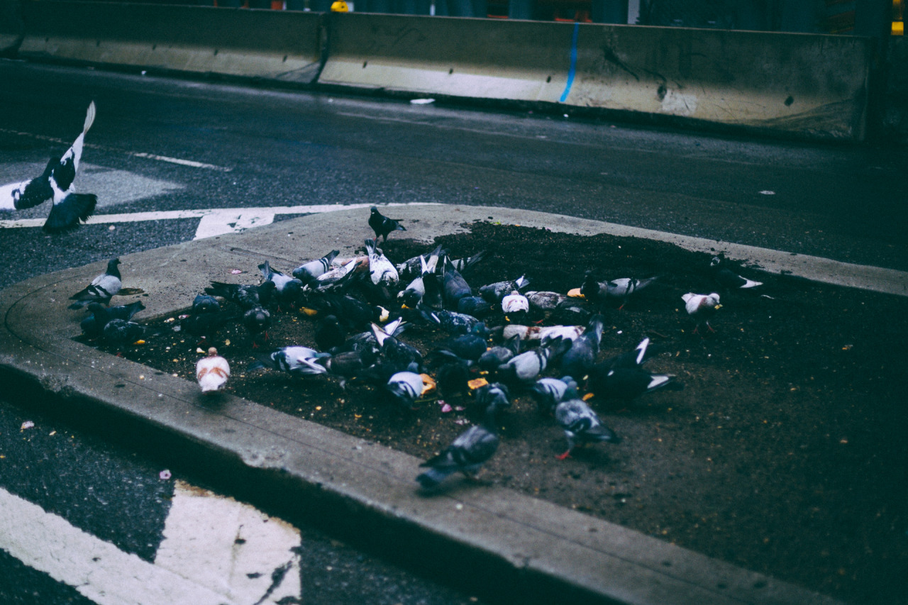 mrcheyl:  Midtown Today - 6/2/15By Stefan - Instagram / Tumblr