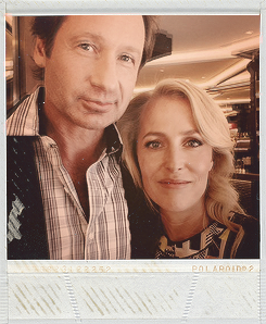 danakaterine:  @GillianA Mulder, it’s me. Are you ready?@davidduchovny I’m ready G woman