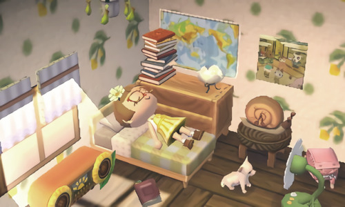 mayor-of-chikara:The mayor awoke from her daily nap to find the sun shining in Chikara for the first