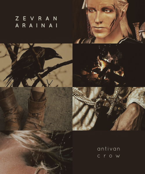 annatard:Endless list of favorite characters [15/???] → Zevran↳ “ You tend to get up to interesting 