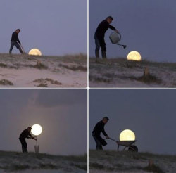 srsfunny: Harvesting The Moon