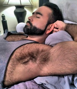 harrybacks:Hairy Pits 55