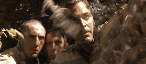 ed69d53700dbd421c323f0e249589df4b6ba96db.gifv