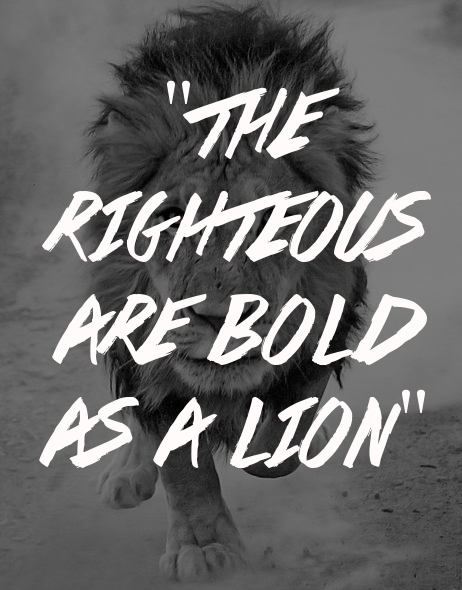 spiritualinspiration:The wicked flee when no one pursues, but the righteous are bold as a lion (Prov