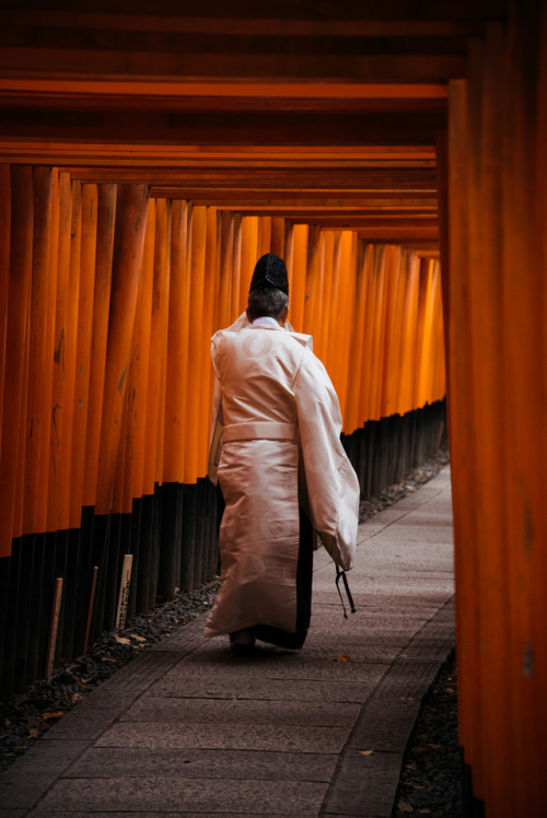 iesuuyr:Kyoto, Japan | Masatada Ho